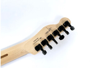 Fender Jim Root Telecaster (56704)