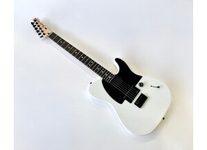 Fender Jim Root Telecaster (84820)