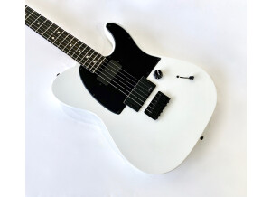 Fender Jim Root Telecaster (82654)