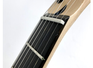 Fender Jim Root Telecaster (14023)