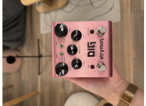Strymon DIG (6199)