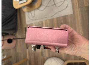Strymon DIG (77462)