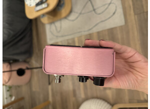 Strymon DIG (46869)