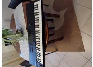 IMG 20250224 172923245