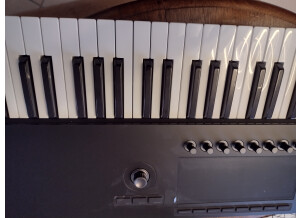 IMG 20250224 172953393 HDR