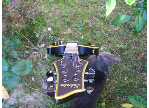 Schecter Blackjack ATX C-1 - Aged Black Satin