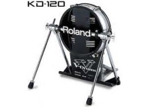 Roland KD-120 (48957)