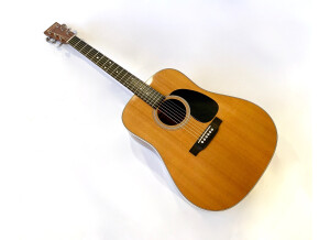 Martin & Co Standard D-28 (2002) (94601)