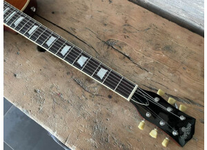 482247121 10228374440174369 3697198986444656501 n