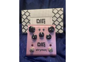 Strymon DIG (4702)