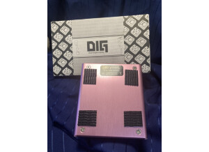 Strymon DIG (27522)