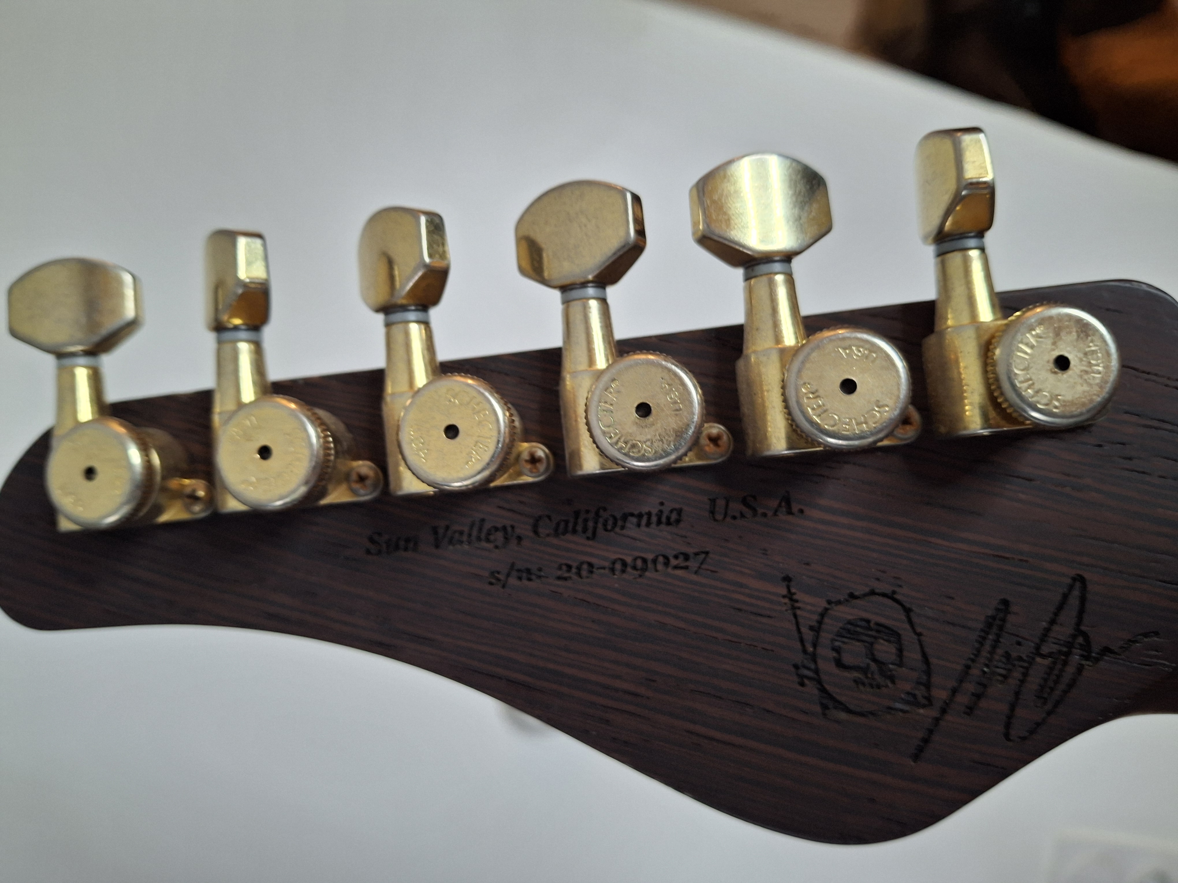 Schecter Custom Shop Nick Johnston USA Signature (79160)