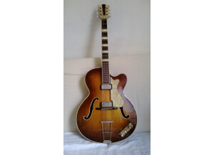 Hofner Guitars 457 (38323)