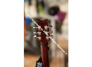 Washburn D10 - Natural