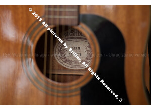 Washburn D10 - Natural