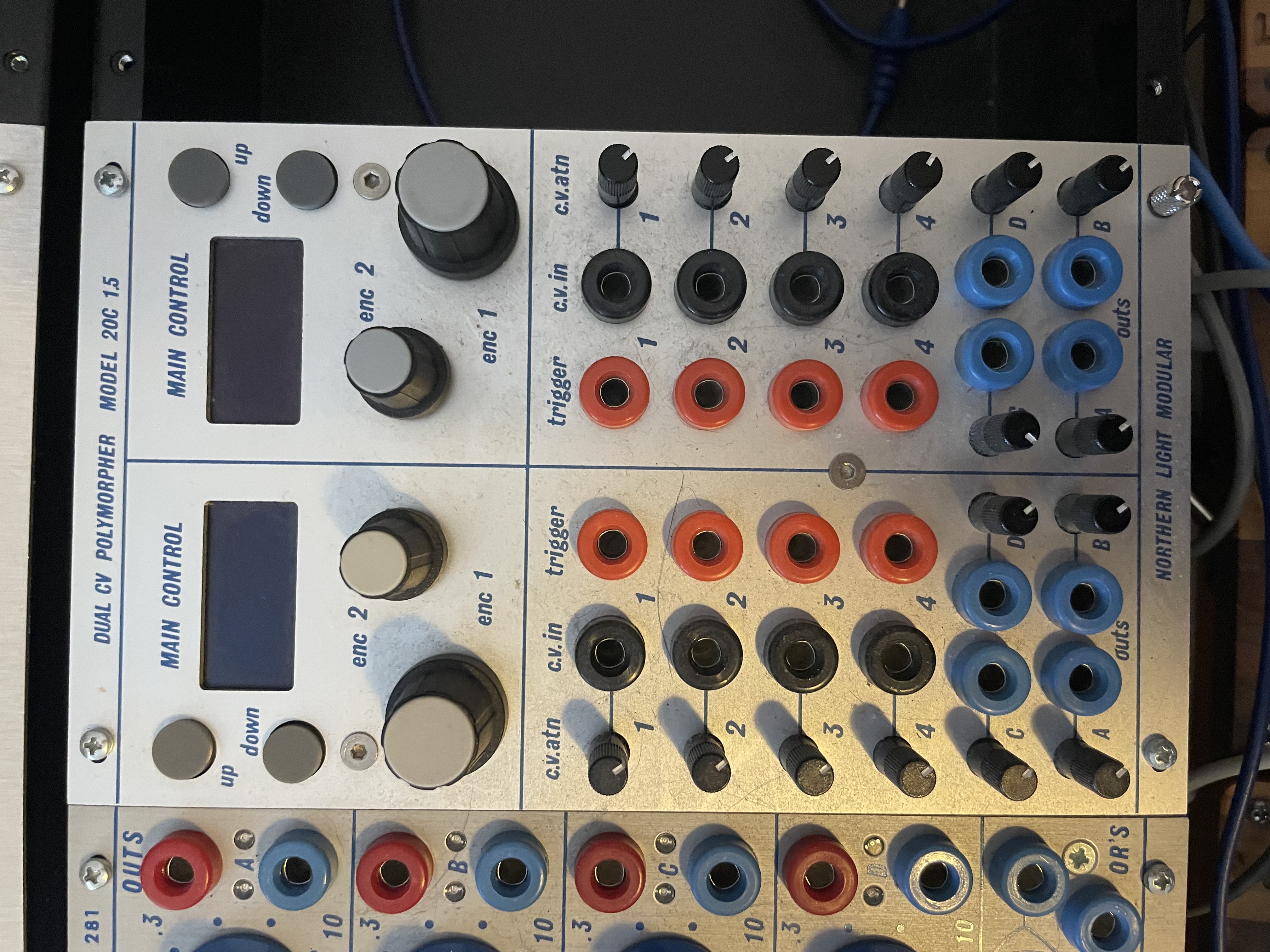 Dual CV polymorpher ornament and crime 