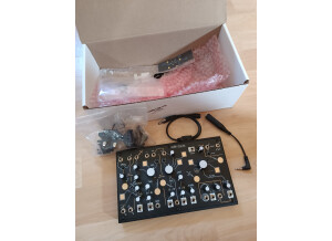 Make Noise Strega (10577)