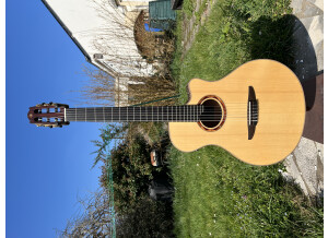 Yamaha NTX5 (70774)