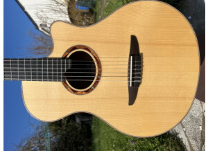 Yamaha NTX5 (29076)