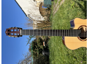 Yamaha NTX5 (5346)
