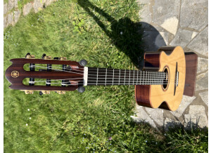 Yamaha NTX5 (8024)