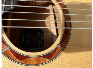 Yamaha NTX5 (11453)