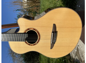 Yamaha NTX5 (69751)