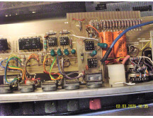 TRIDENT fleximix GonG w