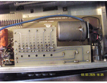 TRIDENT fleximix GonG X