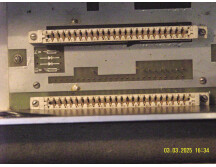 TRIDENT fleximix GonG y