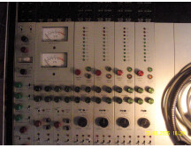 TRIDENT fleximix GonG (25)