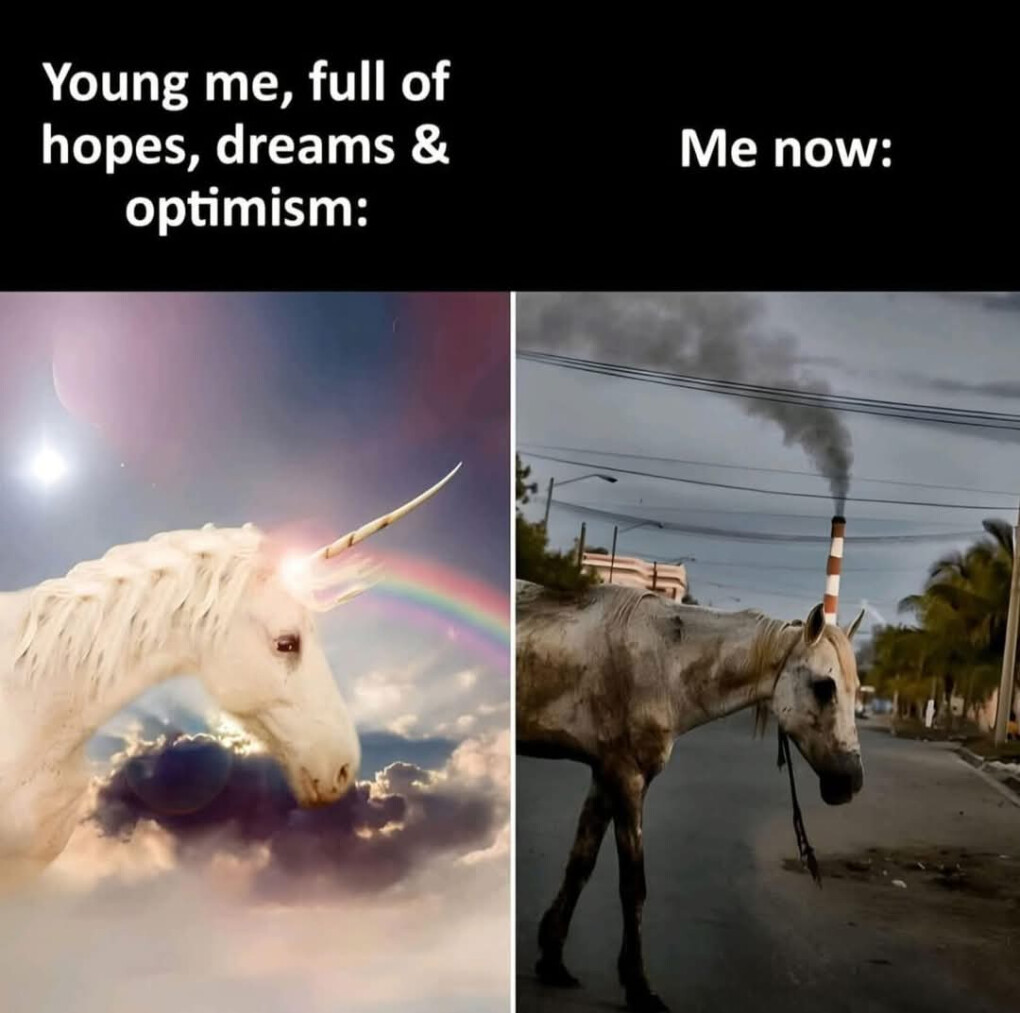 6409186.jpg 6409186.jpg