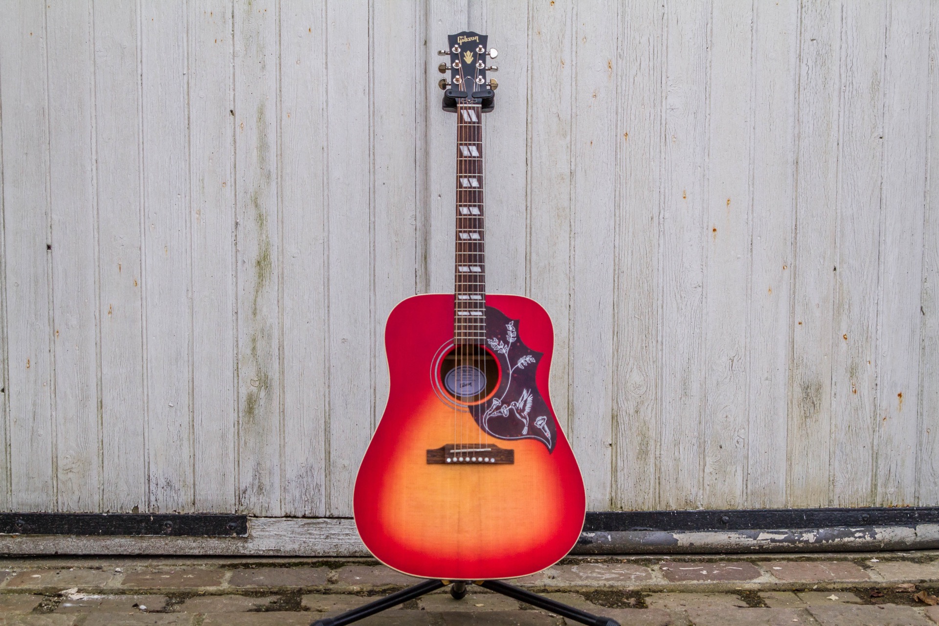 Gibson Hummingbird Special : Specials-17