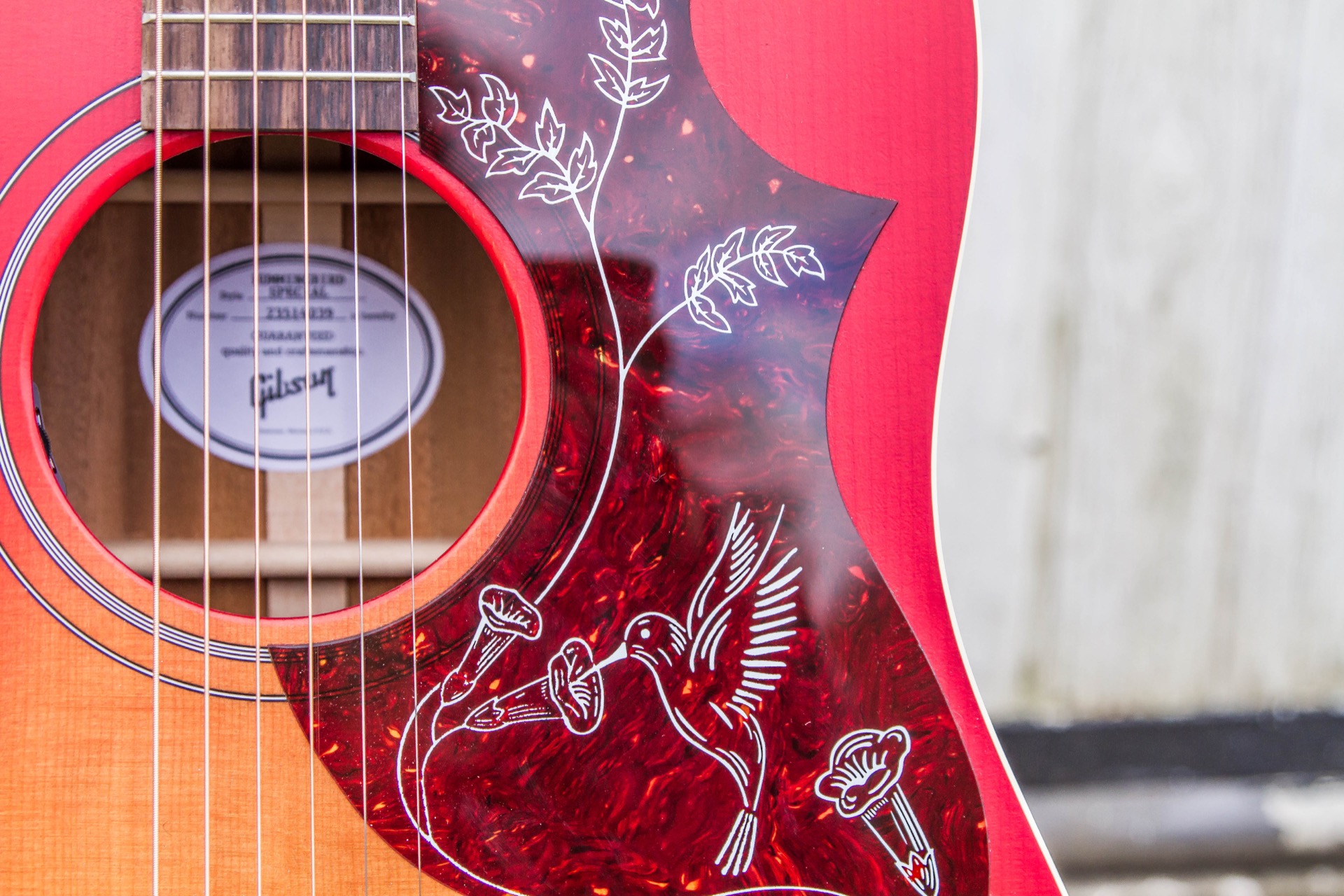 Gibson Hummingbird Special : Specials-22