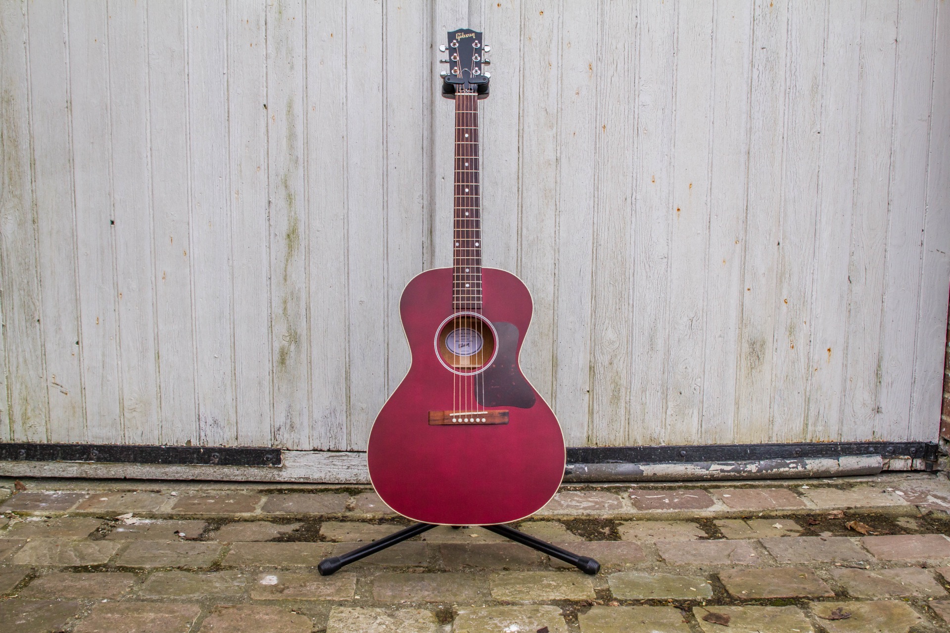 Gibson L-00 Special : Specials-7