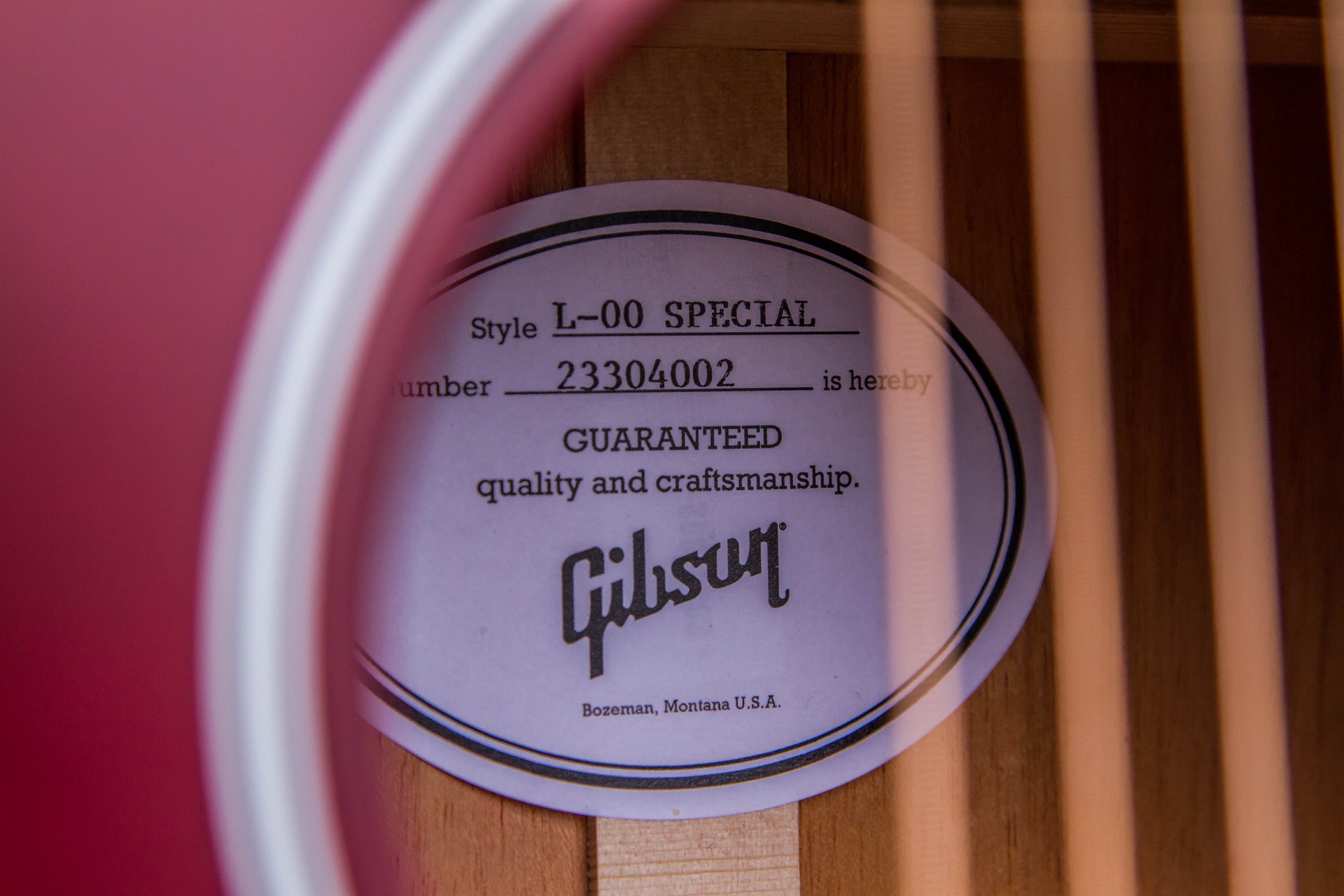 Gibson L-00 Special : Specials-9