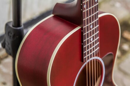 Gibson L-00 Special : Specials-10 Gibson L-00 Special : Specials-10