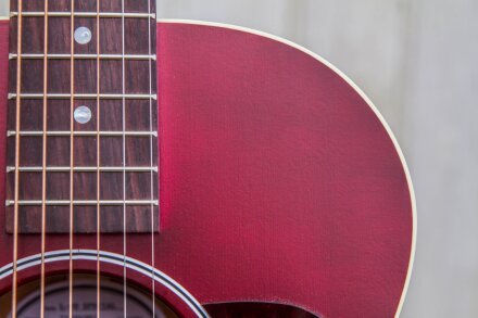 Gibson L-00 Special : Specials-11 Gibson L-00 Special : Specials-11