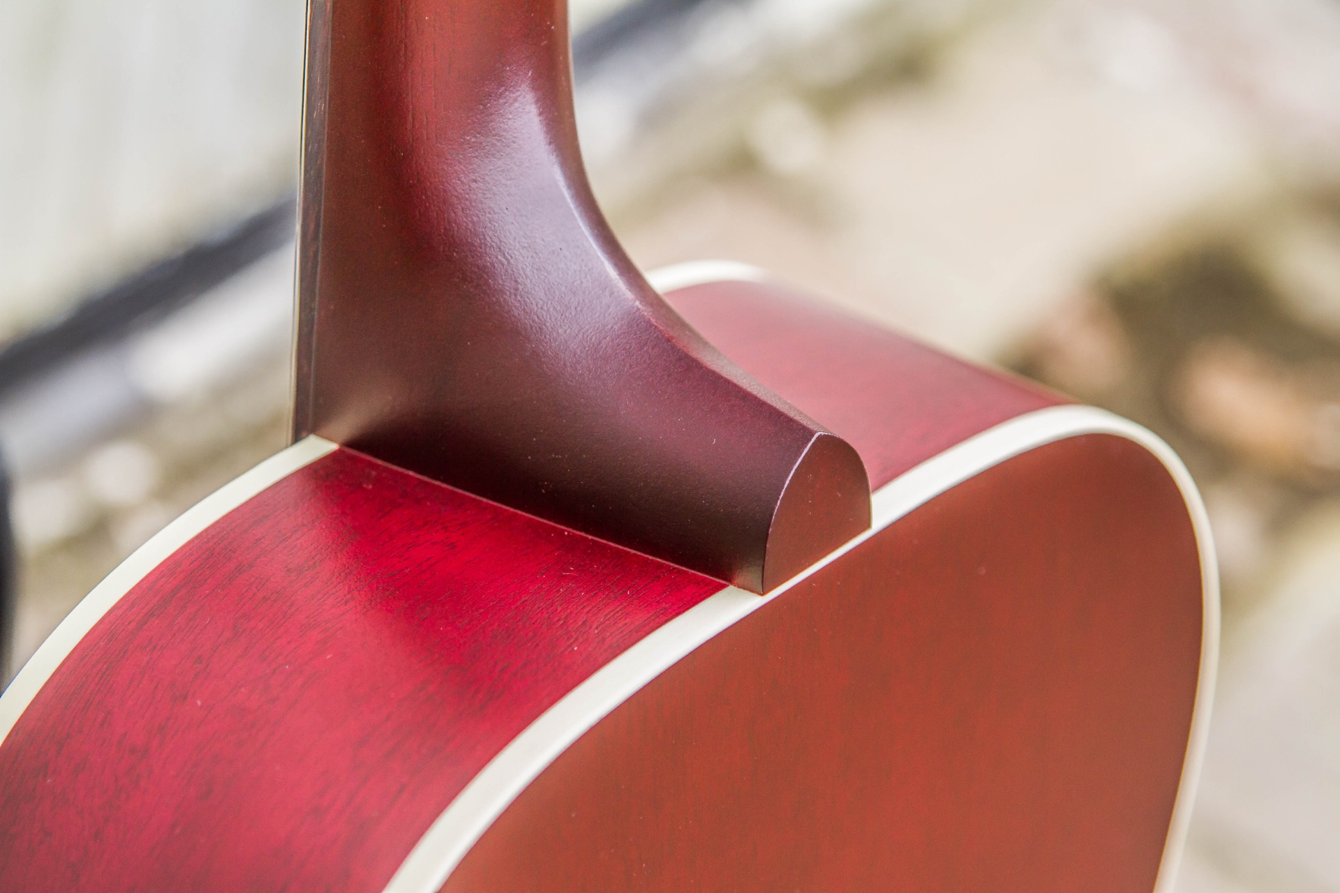 Gibson L-00 Special : Specials-14