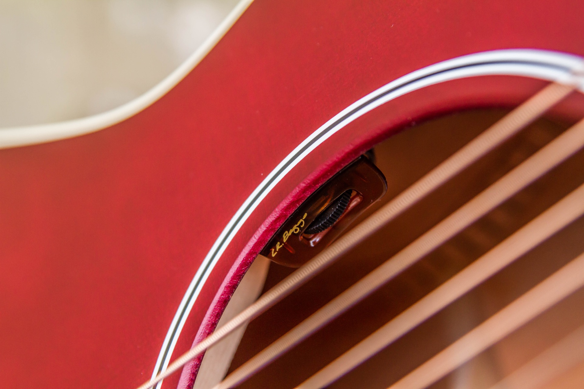 Gibson L-00 Special : Specials-15