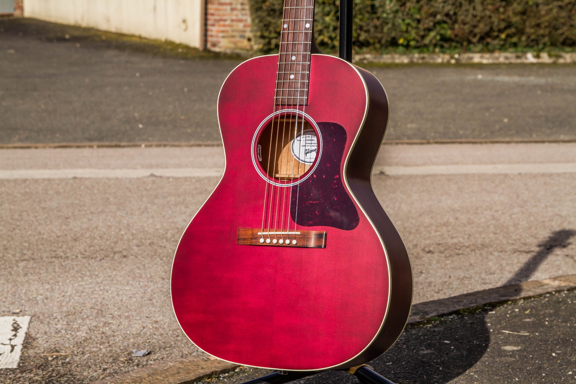 Gibson L-00 Special : Specials-45
