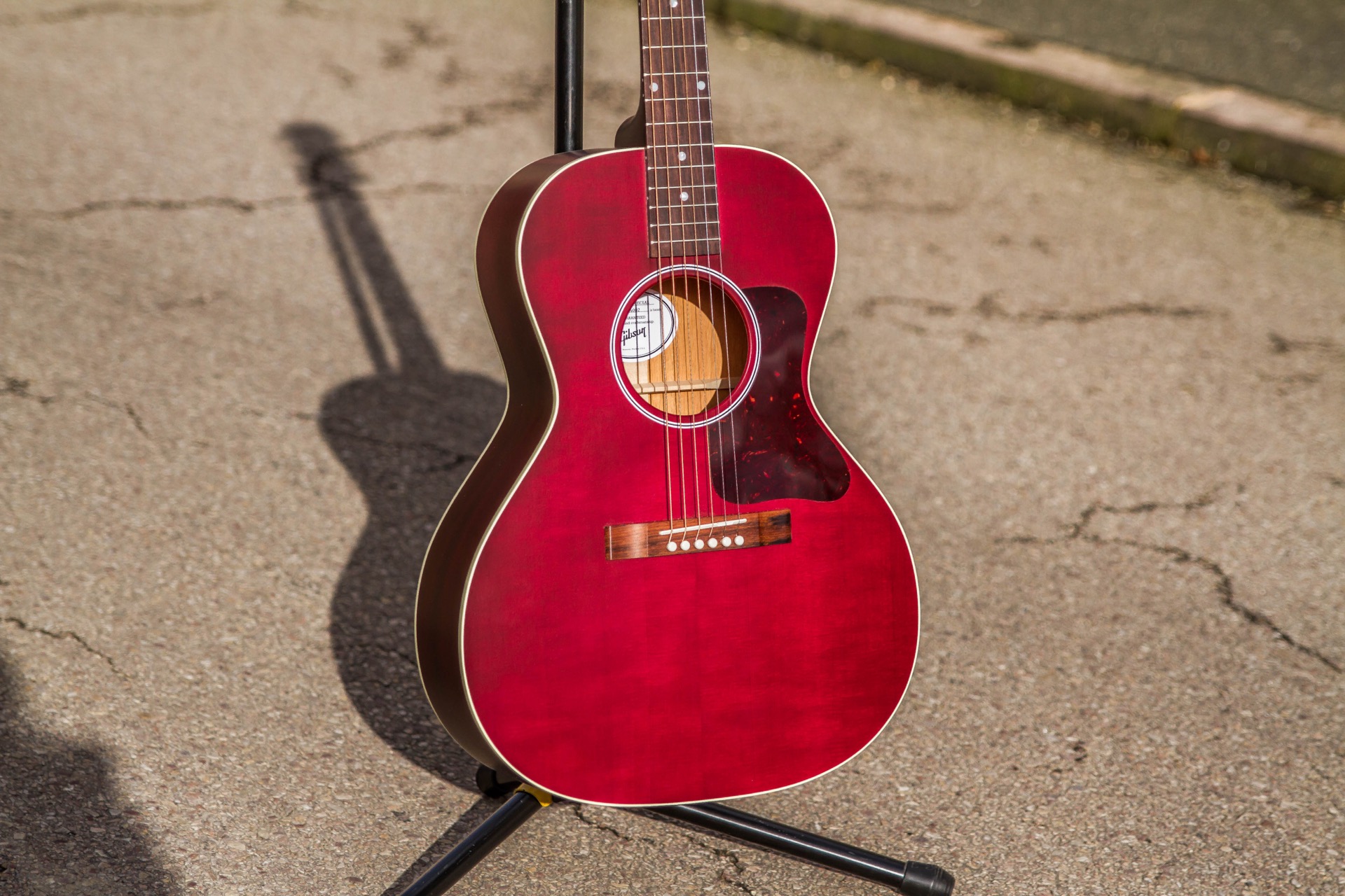 Gibson L-00 Special : Specials-52