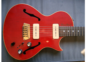 Gibson BluesHawk (25854)
