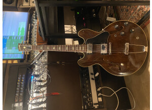 Gibson ES-335 TD (11311)