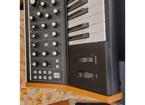 Moog Music Subsequent 25 (46346)