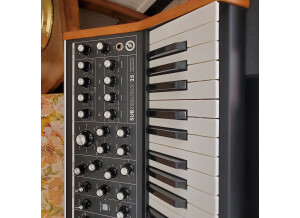 Moog Music Subsequent 25 (54396)