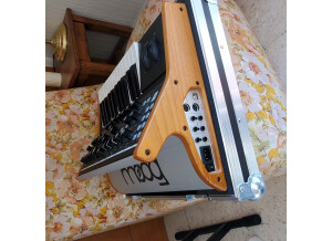 Moog Music Subsequent 25 (4533)