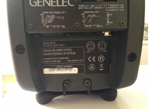 Genelec 8030A (48674)