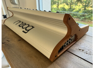 Moog Music SUB 37 (71081)