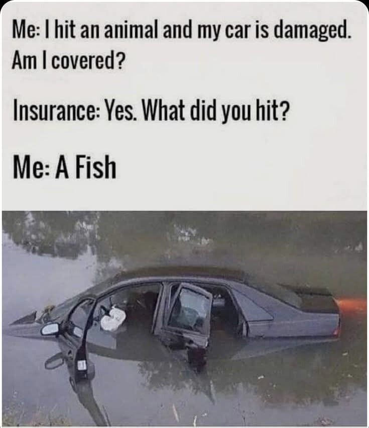 6413273.jpg 6413273.jpg